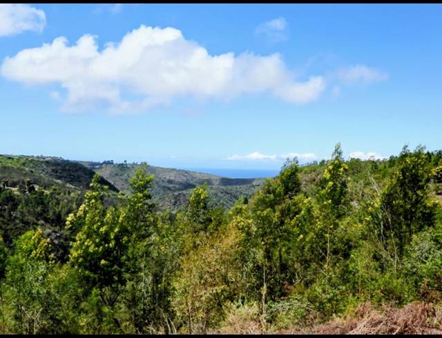 LAND FOR SALE IN HOEKWIL